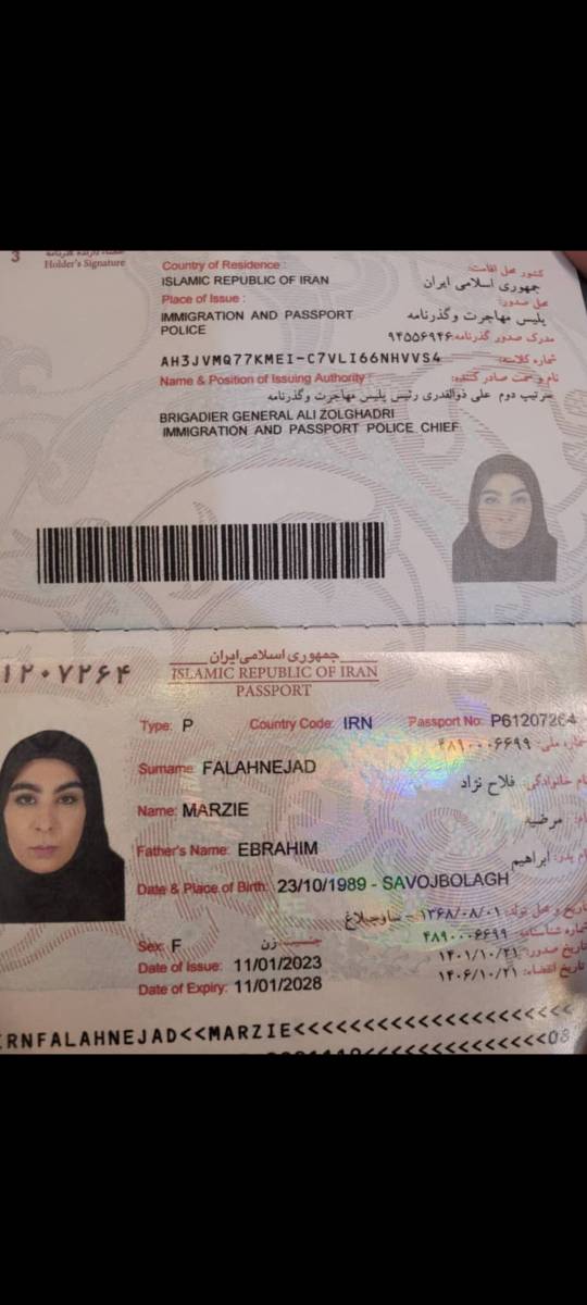 صورة الصفحة الأولى من جواز السفر